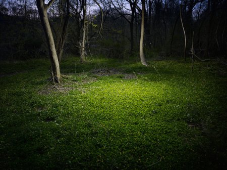Фотограф Harold Ross. Ночь