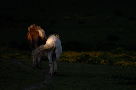 Фотограф Dirk Juergensen