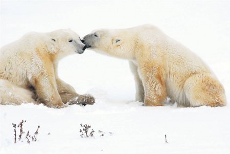 Nature's Best Photography: 2010 Ocean Views