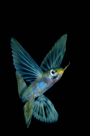 Nature's Best Photography: 2010 Ocean Views