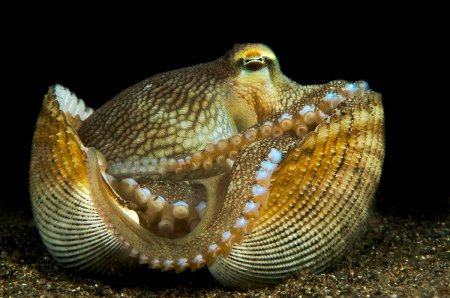 Nature's Best Photography: 2010 Ocean Views
