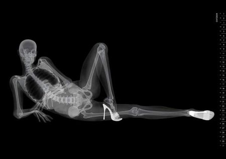 EIZO: Pin-up Calendar 2010