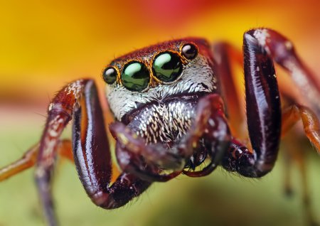 Фотограф Thomas Shahan