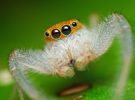 Фотограф Thomas Shahan