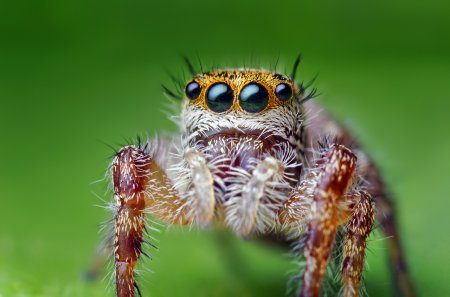 Фотограф Thomas Shahan