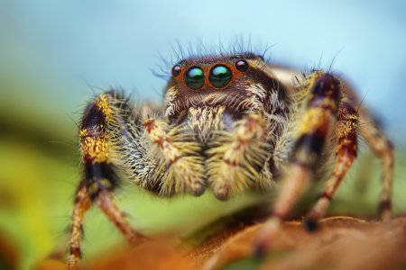 Фотограф Thomas Shahan
