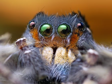Фотограф Thomas Shahan