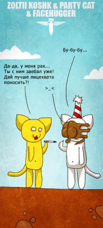 Кош и все все все