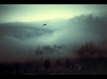 Фотограф Nicolas Bouvier