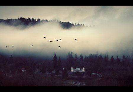 Фотограф Nicolas Bouvier