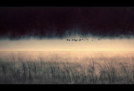 Фотограф Nicolas Bouvier