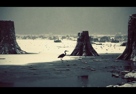 Фотограф Nicolas Bouvier