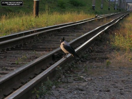 Russan railways (photo)