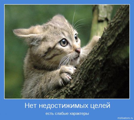 Мотиваторы ч.2