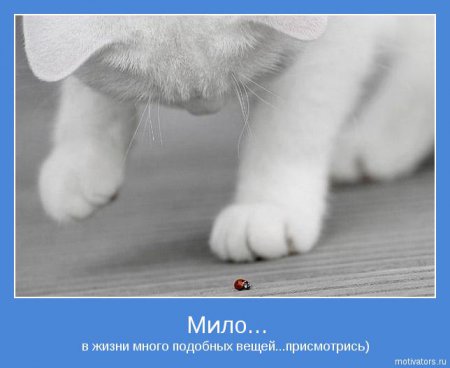 Мотиваторы ч.2
