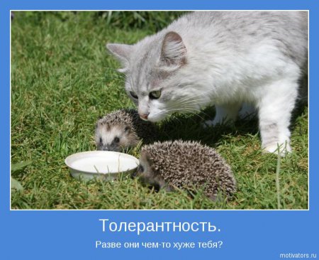 Мотиваторы ч.3