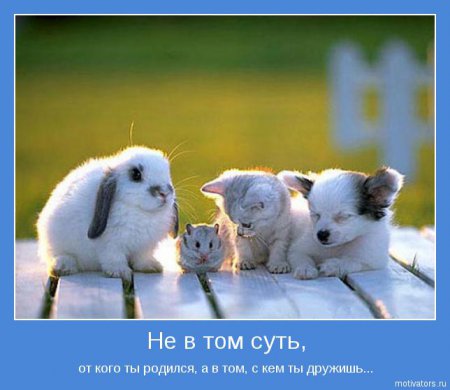 Мотиваторы ч.3