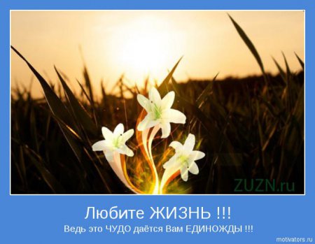 Мотиваторы ч.3
