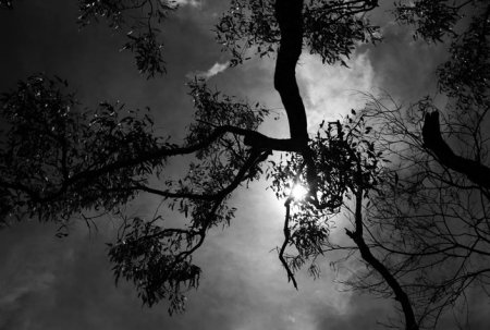 Фотограф Russell James