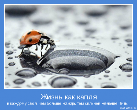 Мотиваторы ч.4