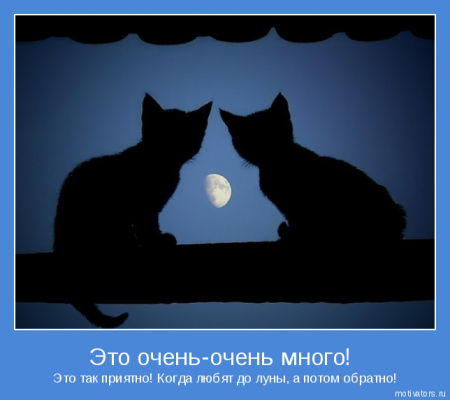 Мотиваторы ч.5