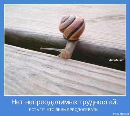 Мотиваторы ч.5