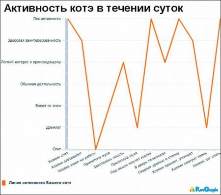 Смешная статистика