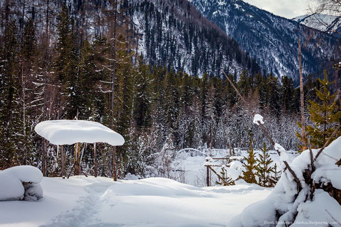 В гостях у самой известной в мире таежной отшельницы В гостях у самой известной в мире таежной отшельницы