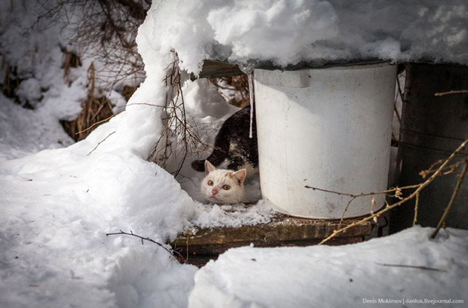 В гостях у самой известной в мире таежной отшельницы В гостях у самой известной в мире таежной отшельницы