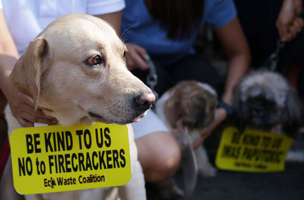 Встреча Нового года 2014 по всему миру Встреча Нового года 2014 по всему миру