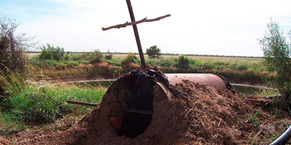 Удивительные истории о выживании