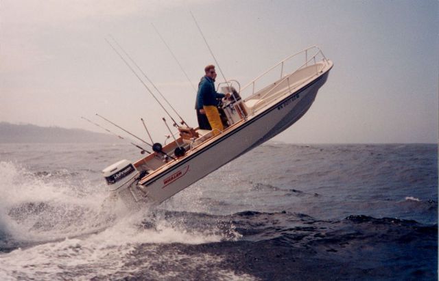 Прикольные картинки (73 фото)