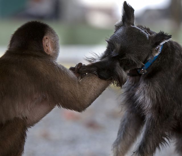 Прикольные картинки (73 фото)