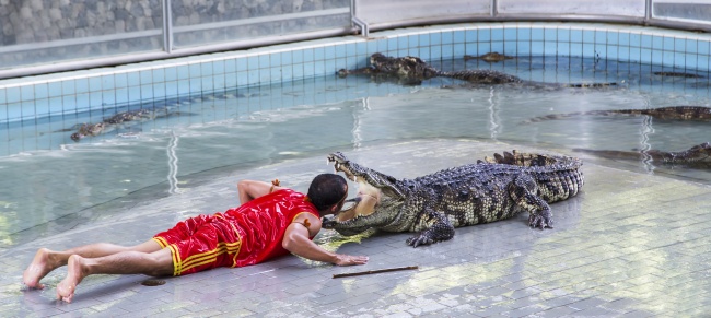 Какие профессии считаются самыми опасными