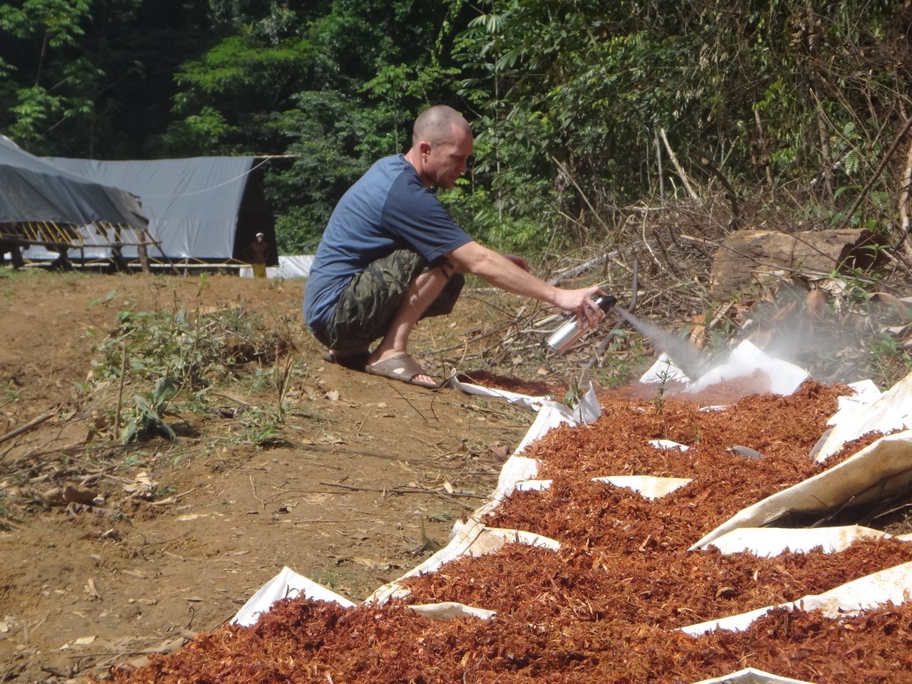 Российский геолог рассказал, как искал золото в джунглях Российский геолог рассказал, как искал золото в джунглях