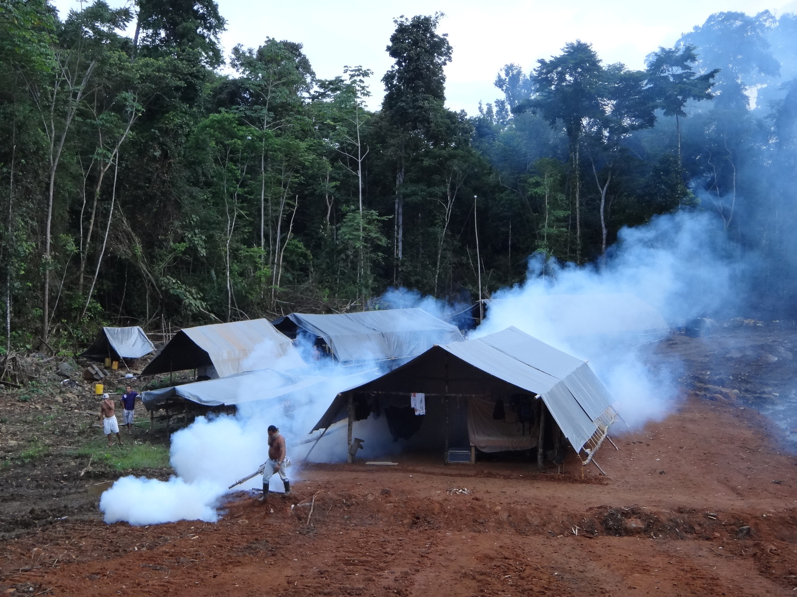 Российский геолог рассказал, как искал золото в джунглях Российский геолог рассказал, как искал золото в джунглях