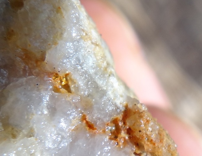 Российский геолог рассказал, как искал золото в джунглях Российский геолог рассказал, как искал золото в джунглях