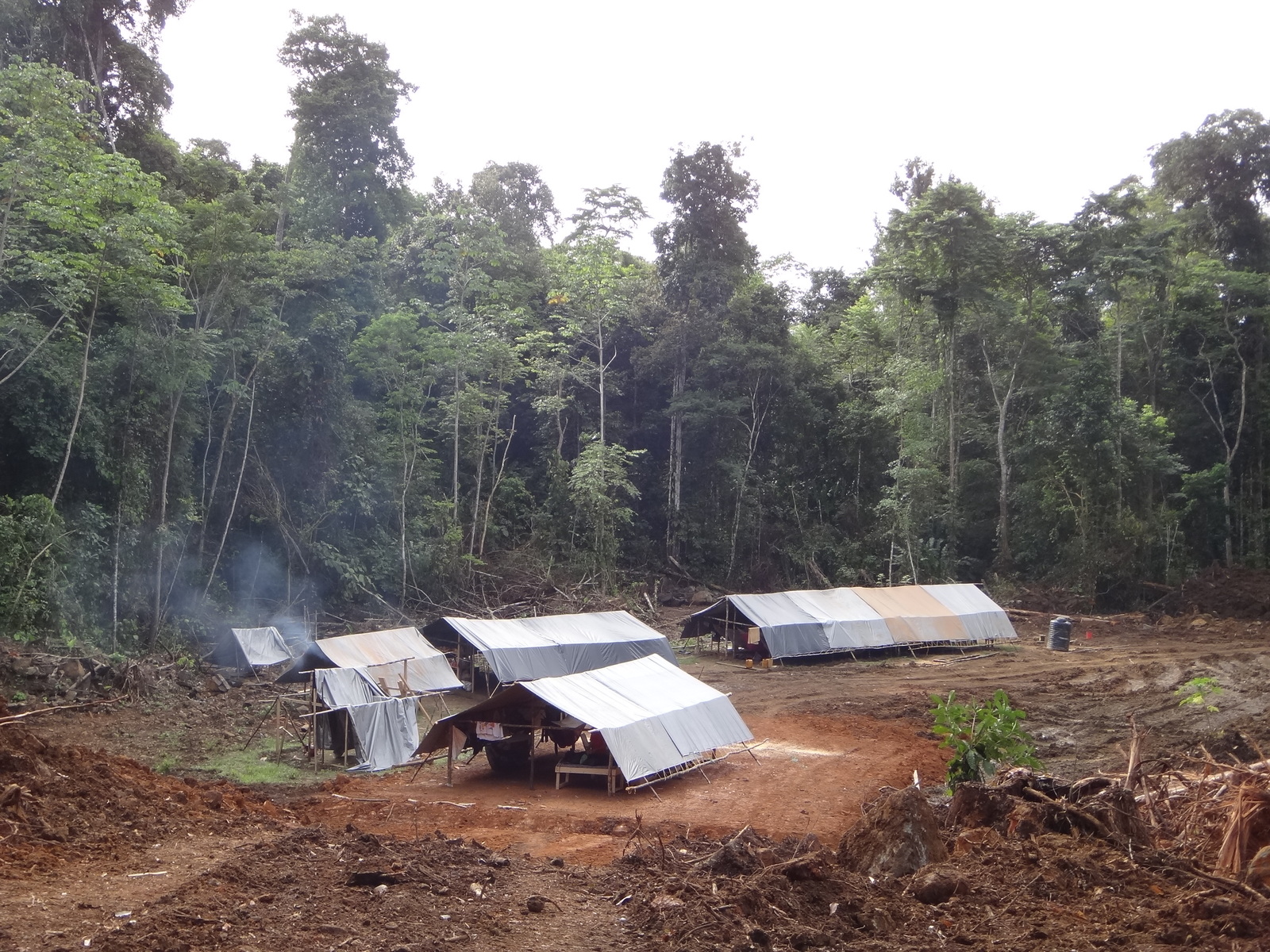 Российский геолог рассказал, как искал золото в джунглях Российский геолог рассказал, как искал золото в джунглях