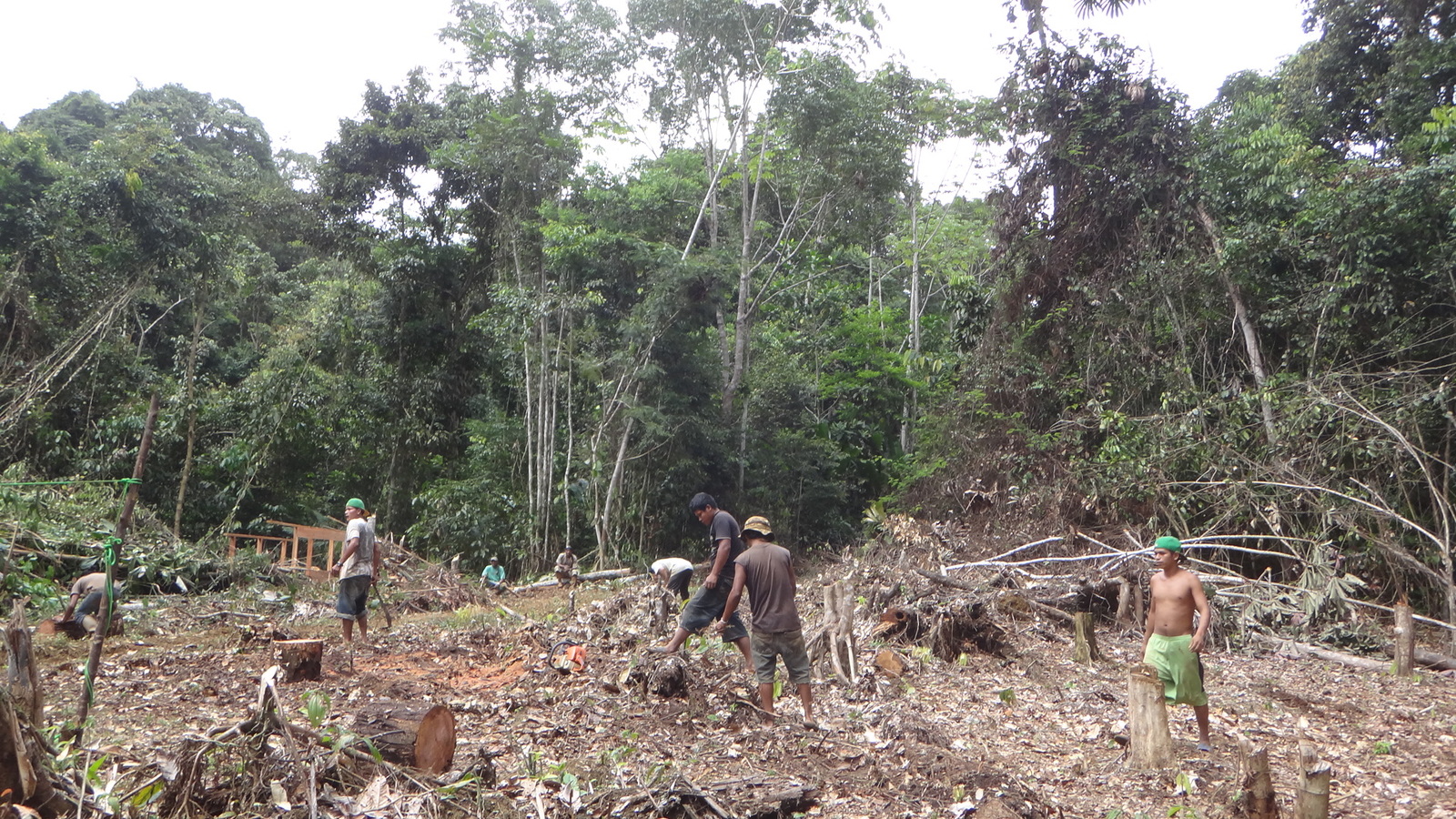 Российский геолог рассказал, как искал золото в джунглях Российский геолог рассказал, как искал золото в джунглях
