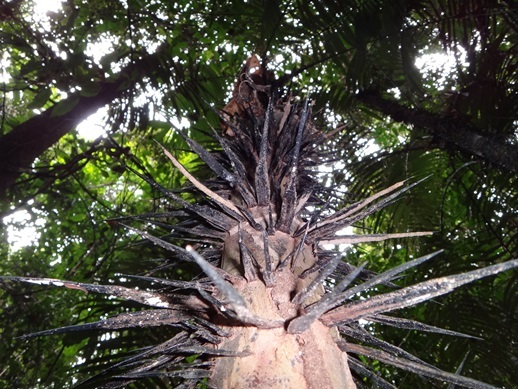 Российский геолог рассказал, как искал золото в джунглях Российский геолог рассказал, как искал золото в джунглях