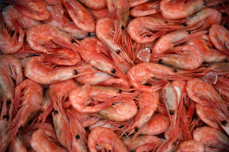 Малоизвестные достижения России в 2017 году