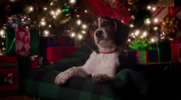 Рождественские фильмы для семейного просмотра