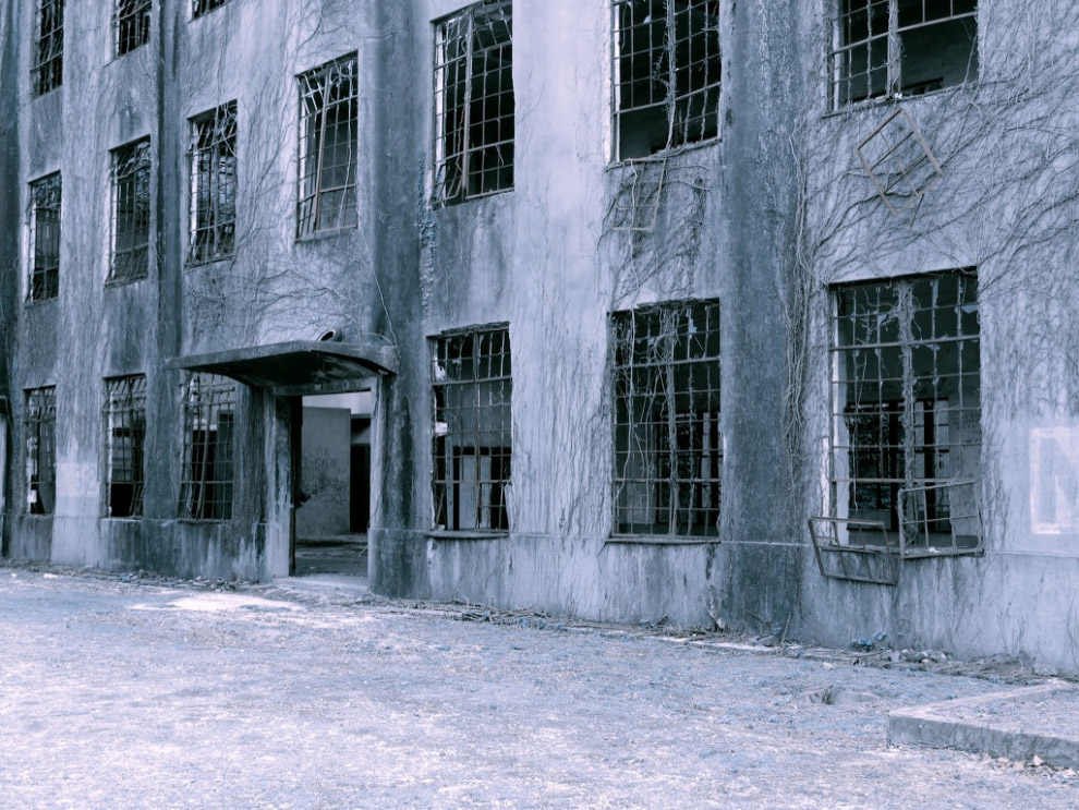 Тайны Острова кроликов в Японии Тайны Острова кроликов в Японии