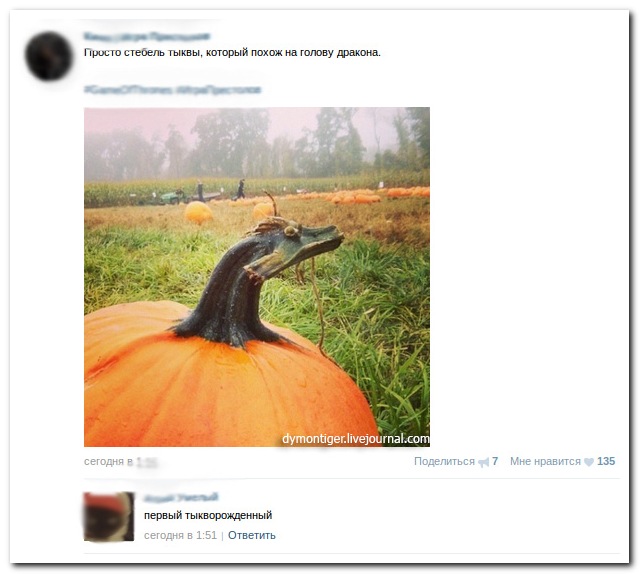 Смешные комментарии из социальных сетей