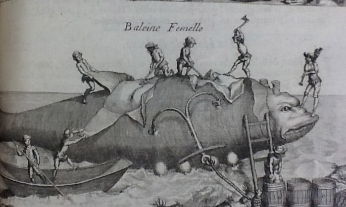 Несколько странных особенностей животных, в которые раньше верили люди. Часть 2 Несколько странных особенностей животных, в которые раньше верили люди. Часть 2