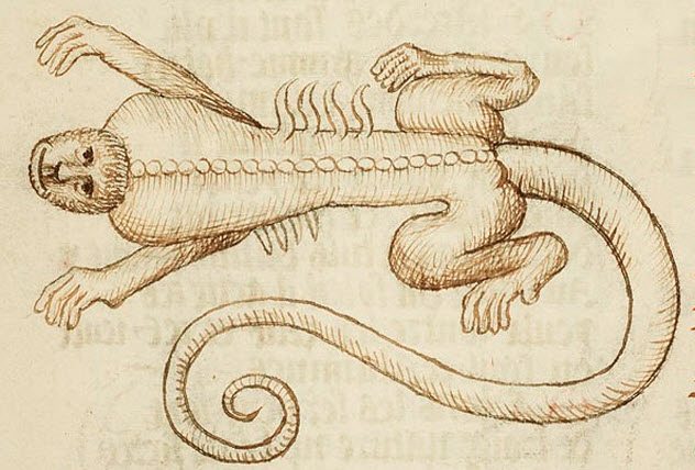 Несколько странных особенностей животных, в которые раньше верили люди. Часть 2 Несколько странных особенностей животных, в которые раньше верили люди. Часть 2