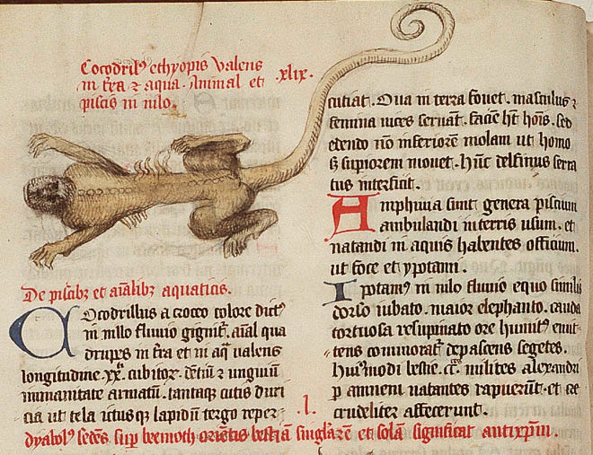 Несколько странных особенностей животных, в которые раньше верили люди. Часть 2 Несколько странных особенностей животных, в которые раньше верили люди. Часть 2