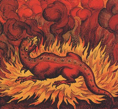 Несколько странных особенностей животных, в которые раньше верили люди. Часть 1 Несколько странных особенностей животных, в которые раньше верили люди. Часть 1