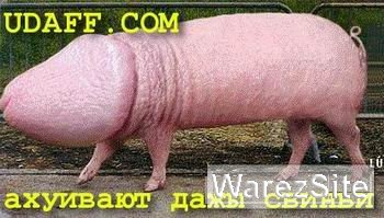 Картинки с  udaff.com