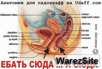 Прикольные картинки с udaff.com